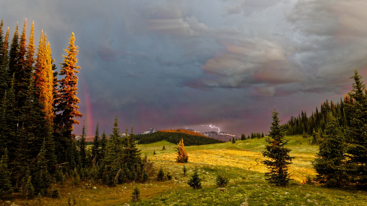 dramatic scene in Wells Gray Park